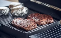 Enders Urban Pro Gasgrill 30 Mbar -Outdoor Leben Verkauf 269627 2257679