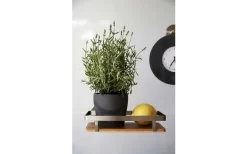 Wenko Universalregal Premium Wandregal -Outdoor Leben Verkauf 516434 3504149