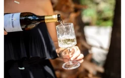 Berger Weinglas 2er Set -Outdoor Leben Verkauf 594239 4331207